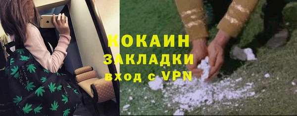 мдпв Протвино
