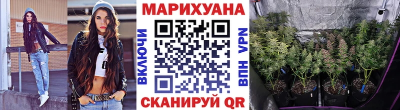 Бошки марихуана марихуана  наркошоп  Новый Уренгой 